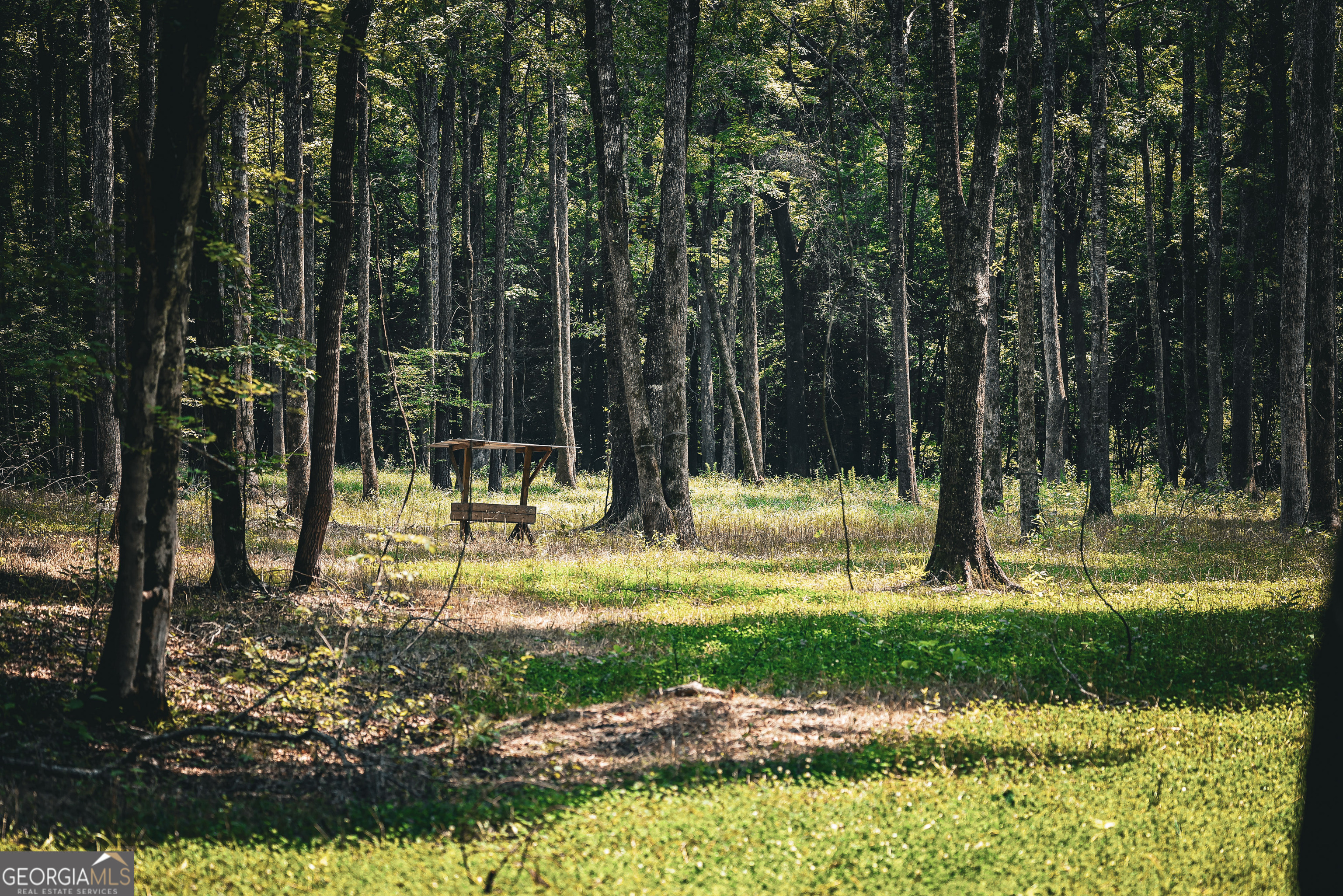 0 County Line Road Talbotton, GA 31827 - Photo 48 of 102
