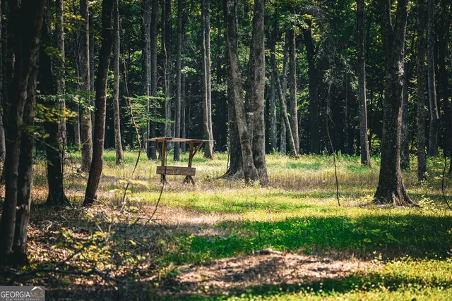 $916,300 | 0 County Line Road, Talbotton, GA 31827