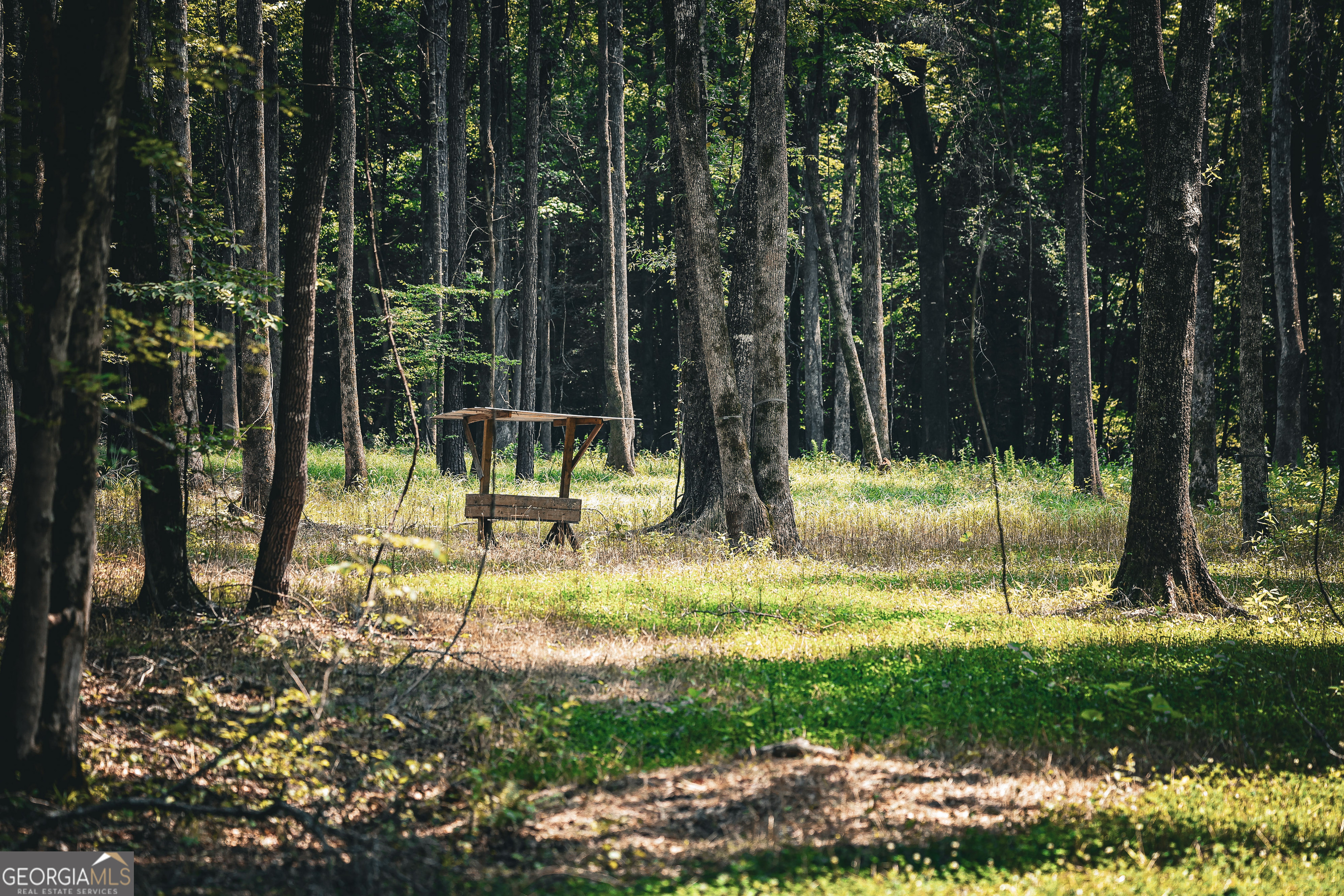 0 County Line Road Talbotton, GA 31827 - Photo 50 of 102