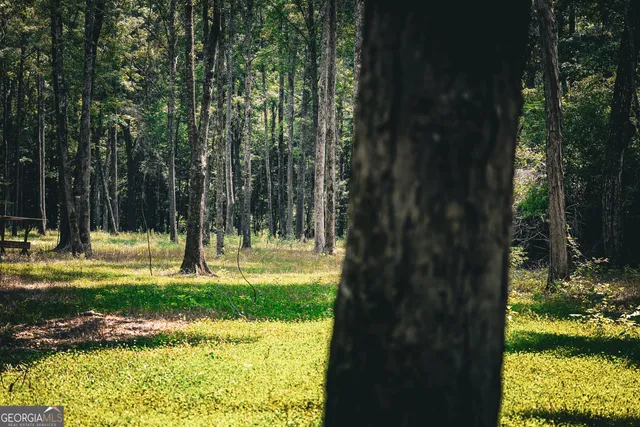 $916,300 | 0 County Line Road, Talbotton, GA 31827