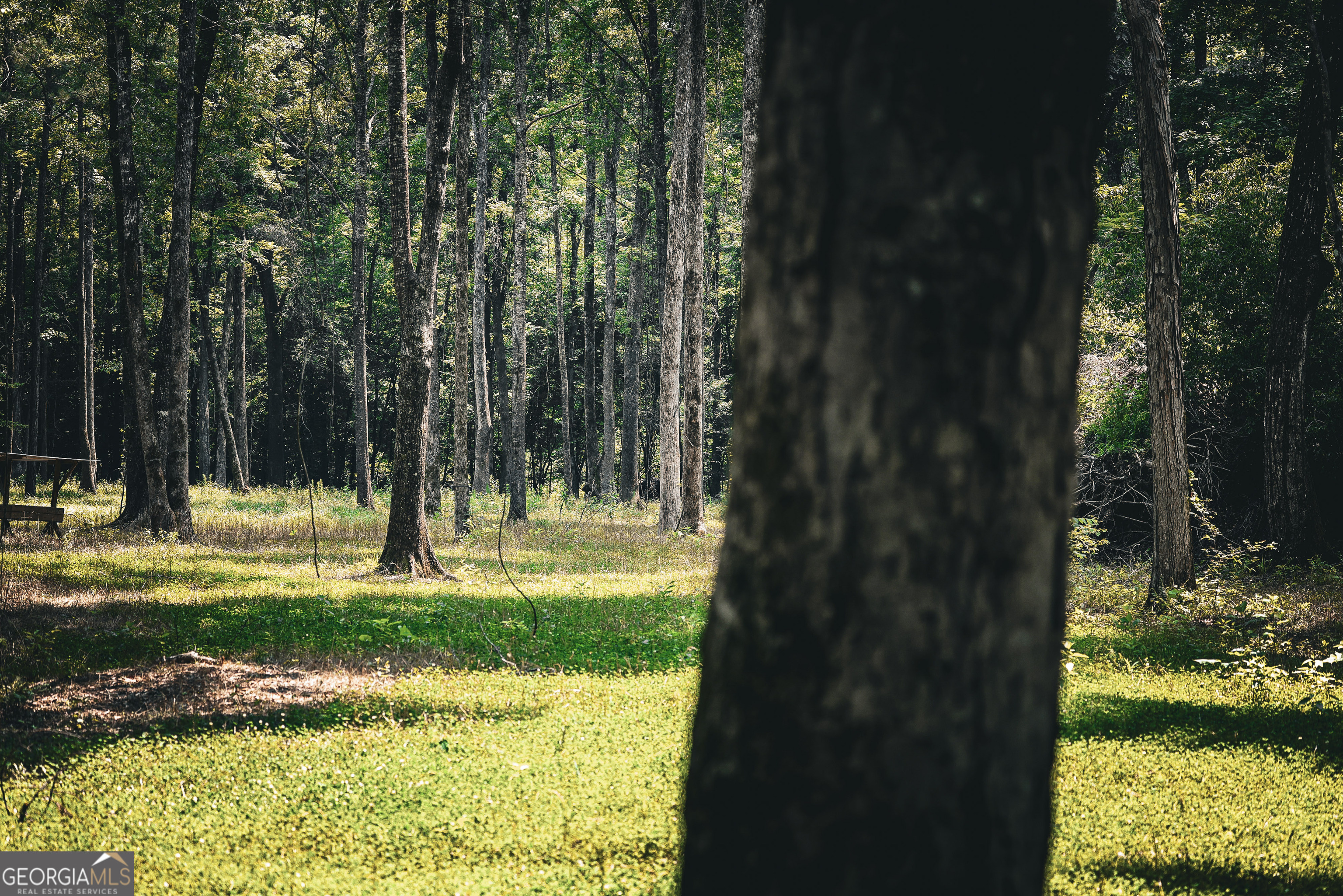 0 County Line Road Talbotton, GA 31827 - Photo 52 of 102