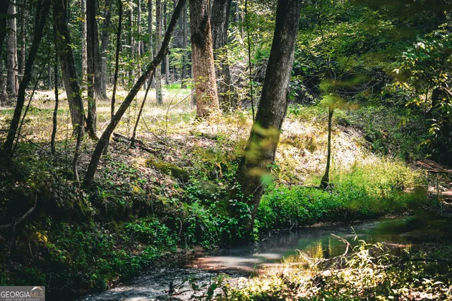 $916,300 | 0 County Line Road, Talbotton, GA 31827