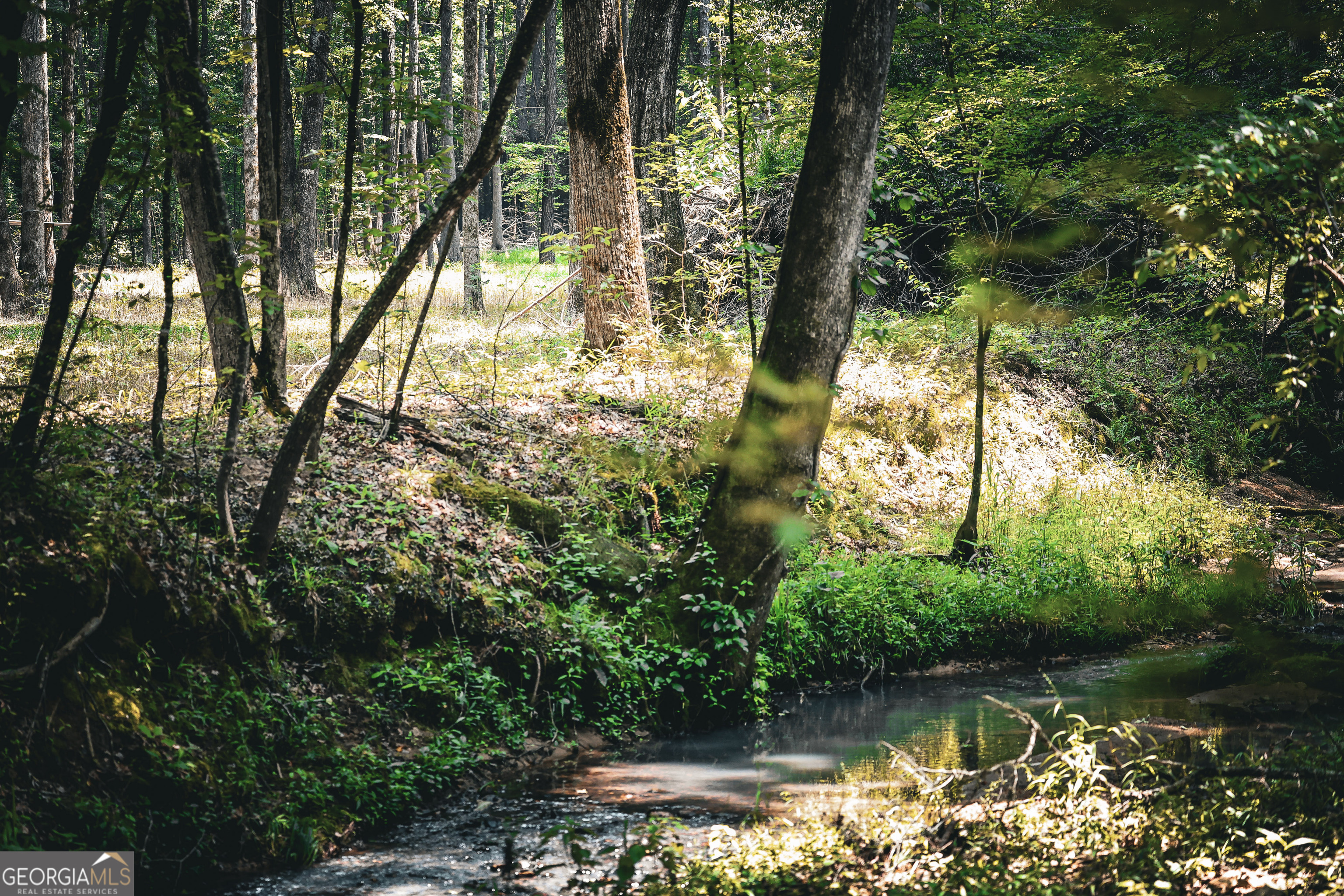 0 County Line Road Talbotton, GA 31827 - Photo 56 of 102