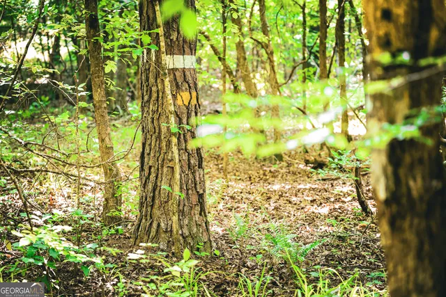 $916,300 | 0 County Line Road, Talbotton, GA 31827