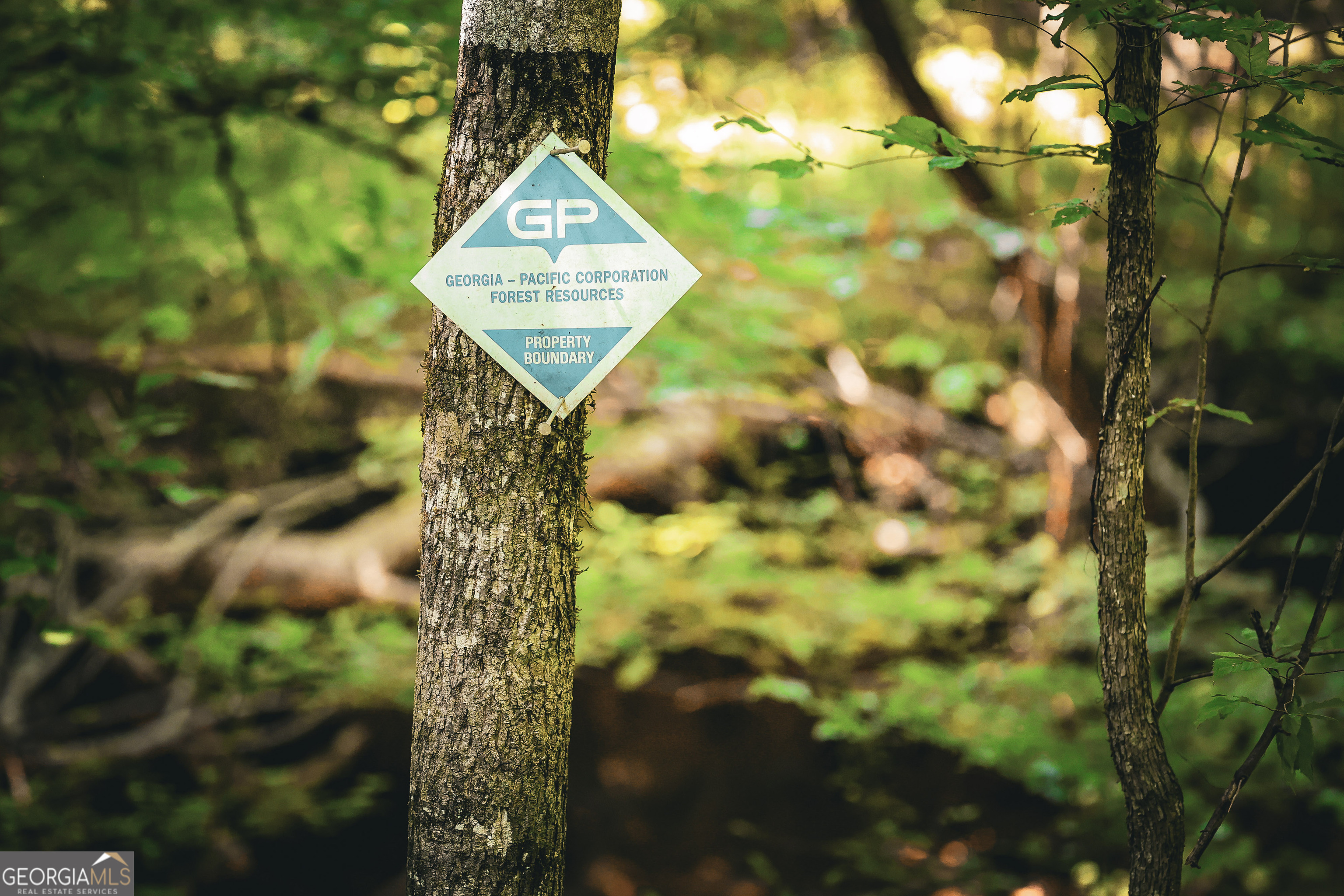 0 County Line Road Talbotton, GA 31827 - Photo 60 of 102