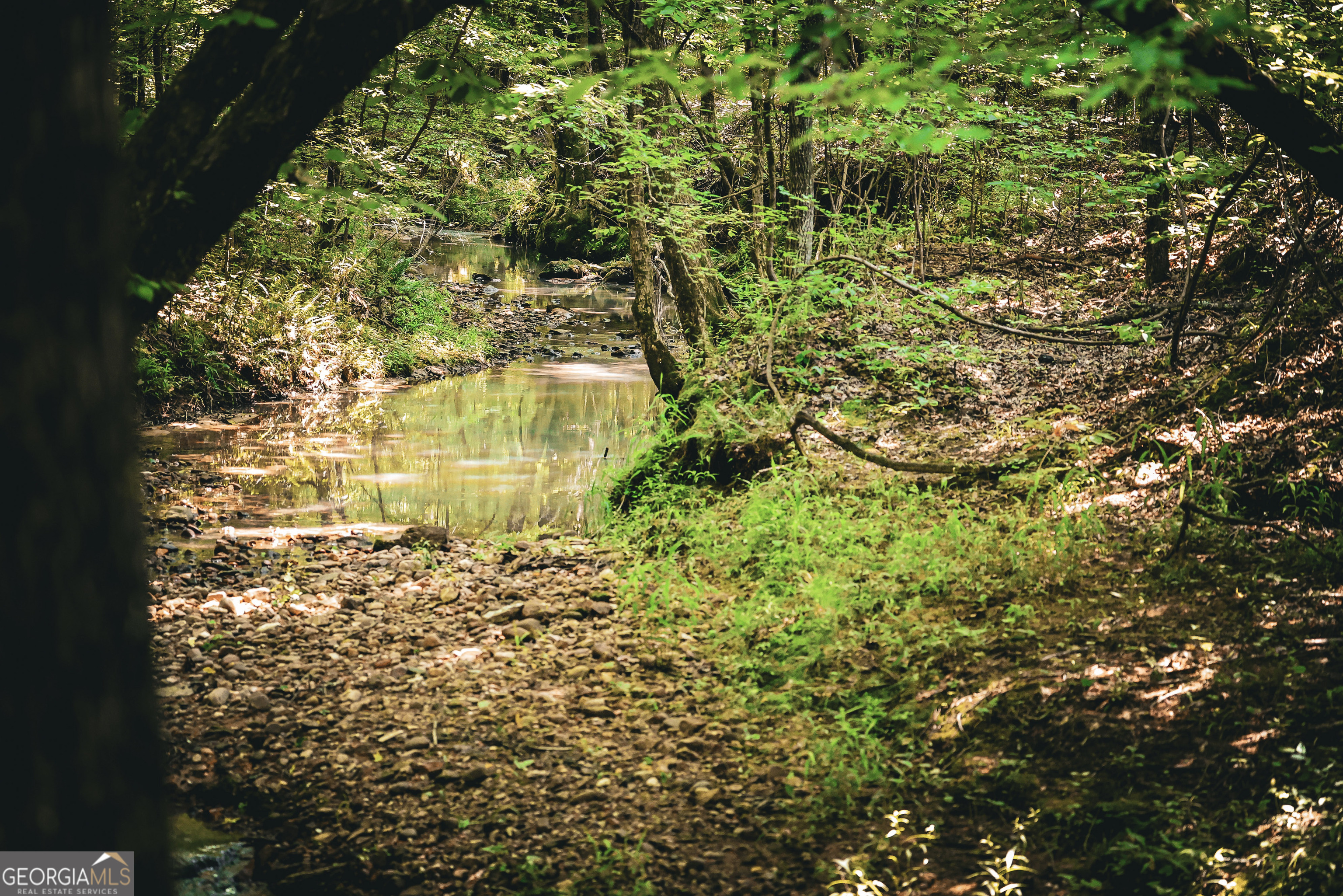 0 County Line Road Talbotton, GA 31827 - Photo 62 of 102