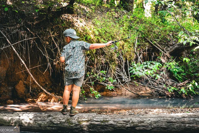 $916,300 | 0 County Line Road, Talbotton, GA 31827