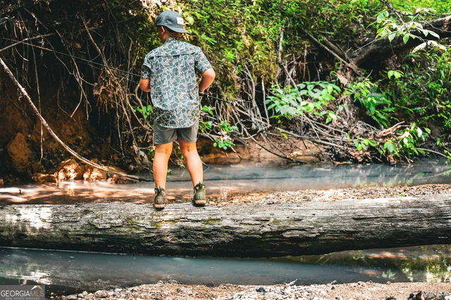 $916,300 | 0 County Line Road, Talbotton, GA 31827