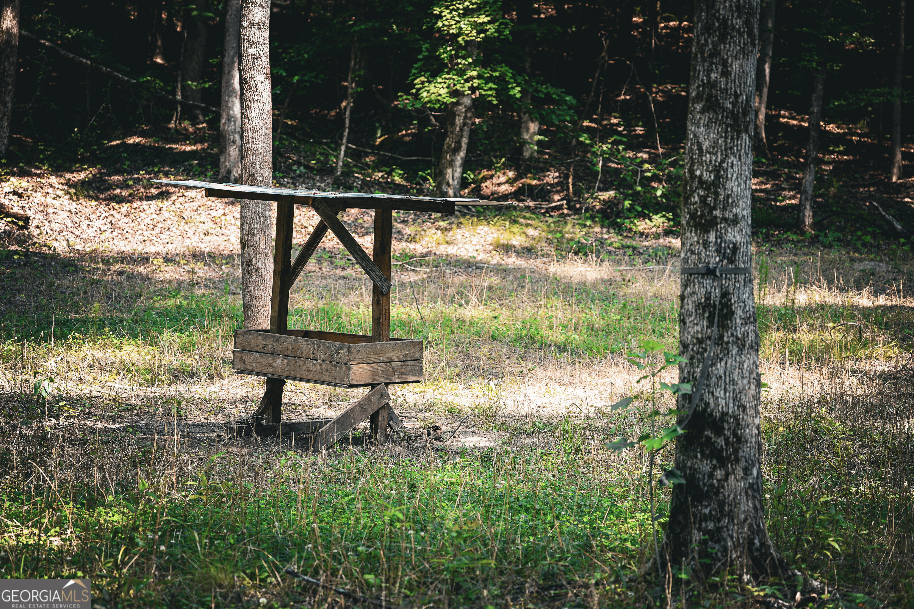 0 County Line Road Talbotton, GA 31827 - Photo 67 of 102