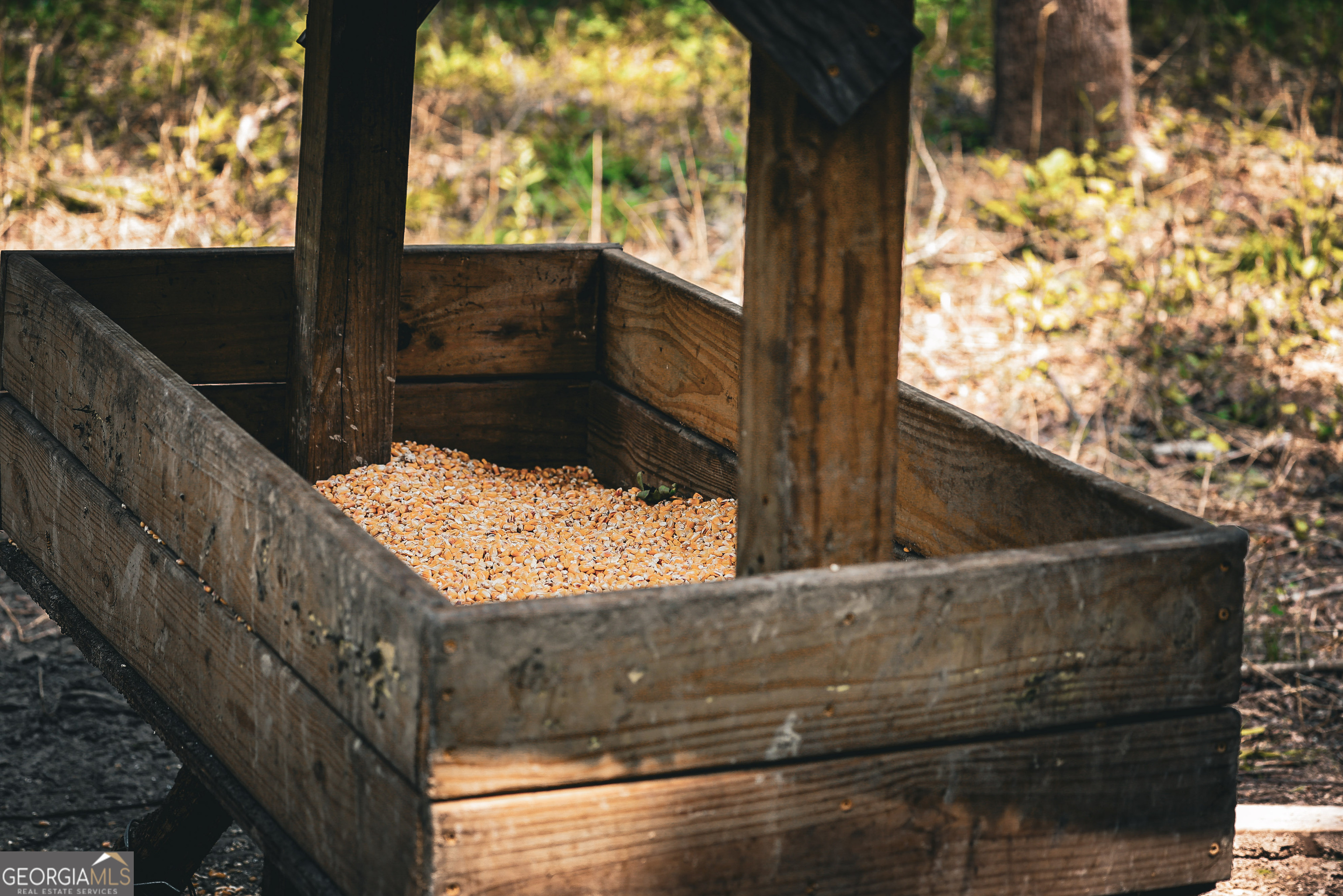 0 County Line Road Talbotton, GA 31827 - Photo 68 of 102