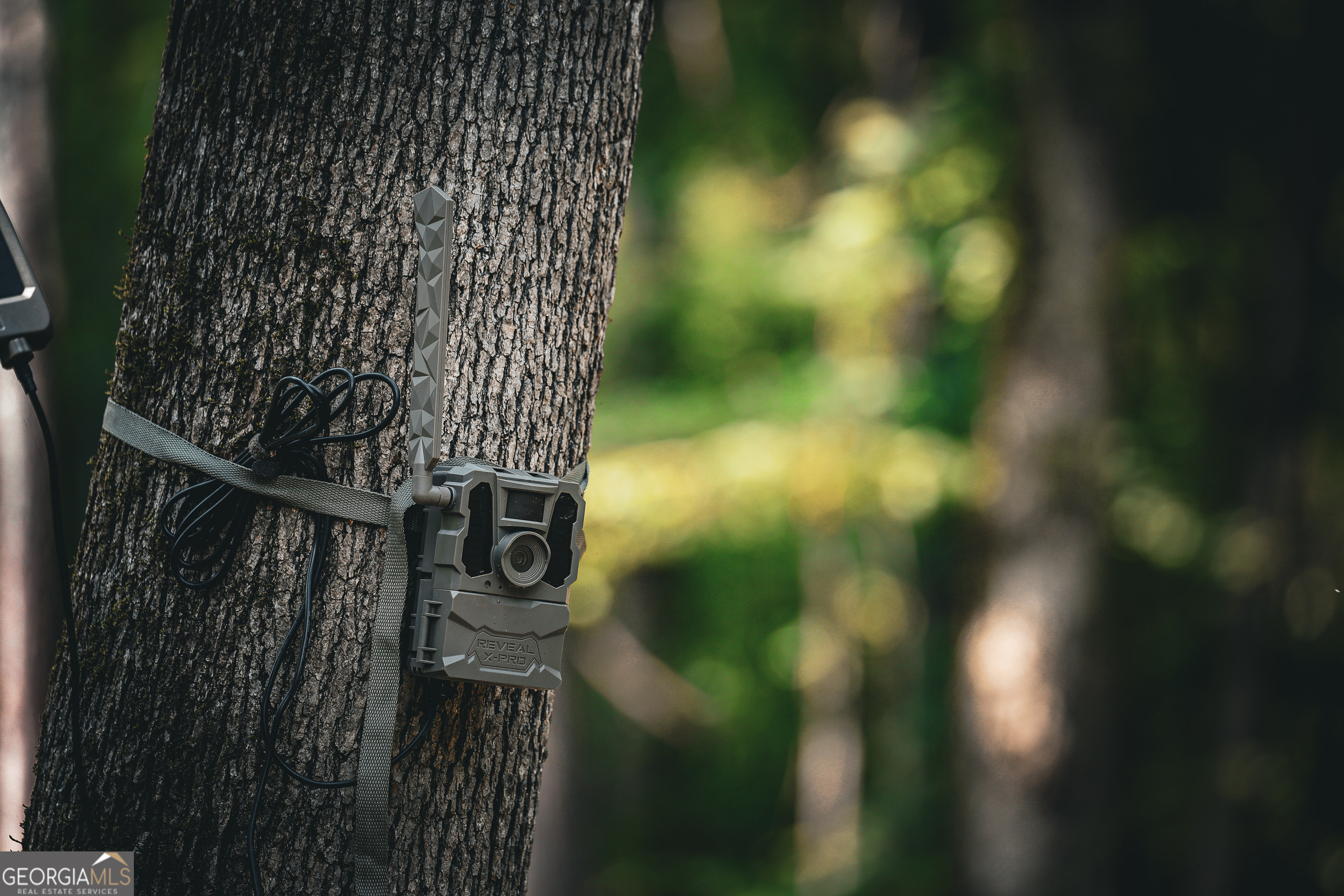 0 County Line Road Talbotton, GA 31827 - Photo 69 of 102