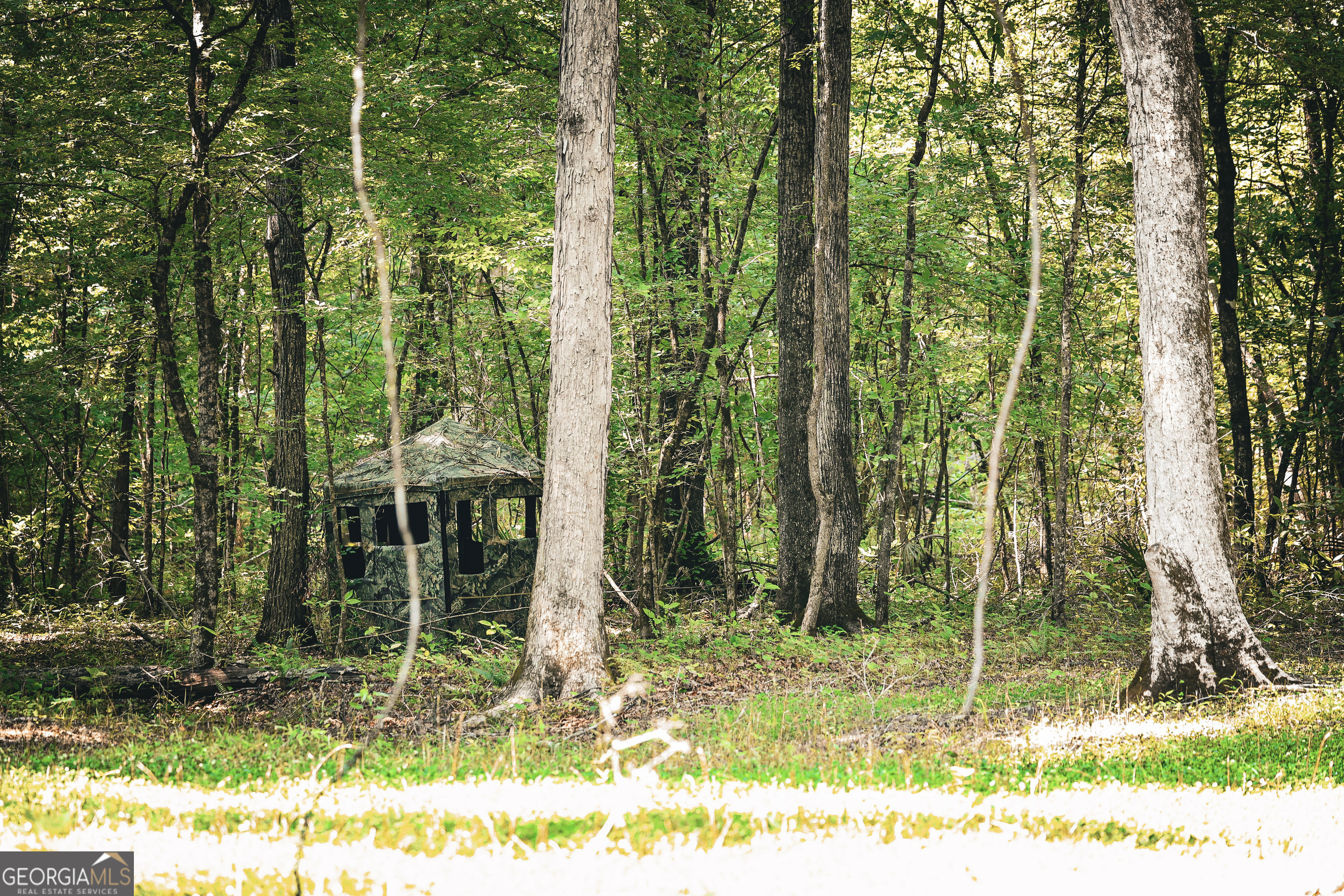 0 County Line Road Talbotton, GA 31827 - Photo 71 of 102