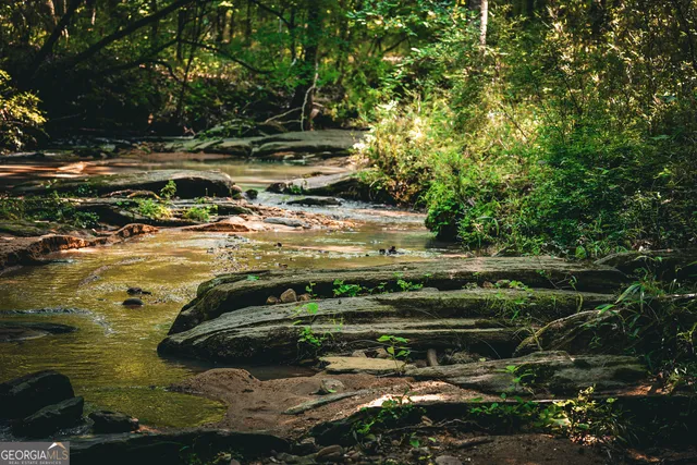 $916,300 | 0 County Line Road, Talbotton, GA 31827