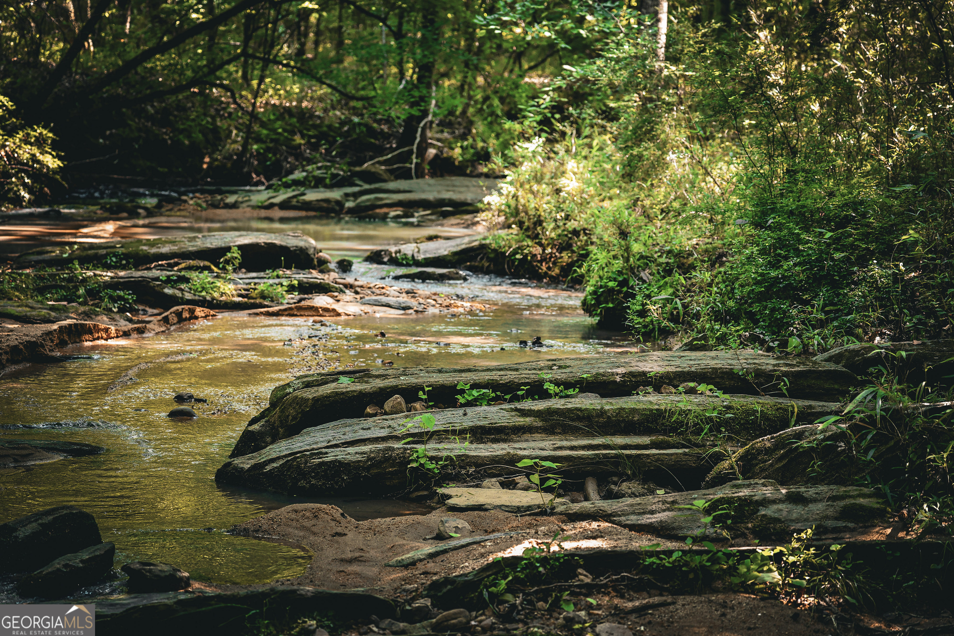 0 County Line Road Talbotton, GA 31827 - Photo 74 of 102