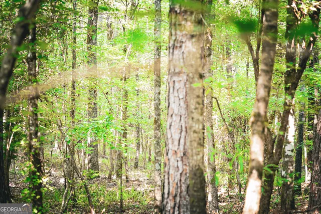 $916,300 | 0 County Line Road, Talbotton, GA 31827