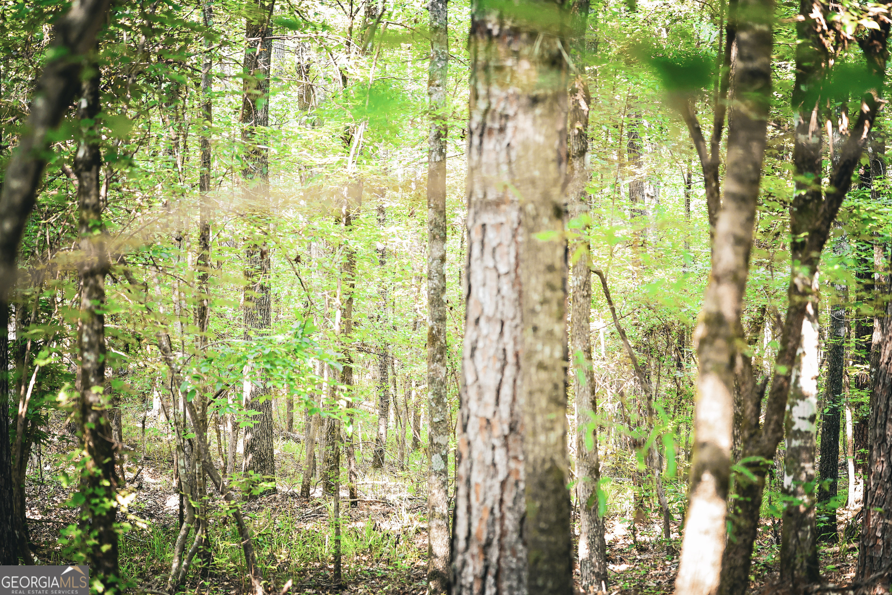 0 County Line Road Talbotton, GA 31827 - Photo 77 of 102