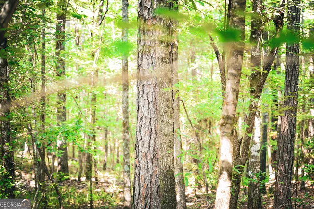 $916,300 | 0 County Line Road, Talbotton, GA 31827