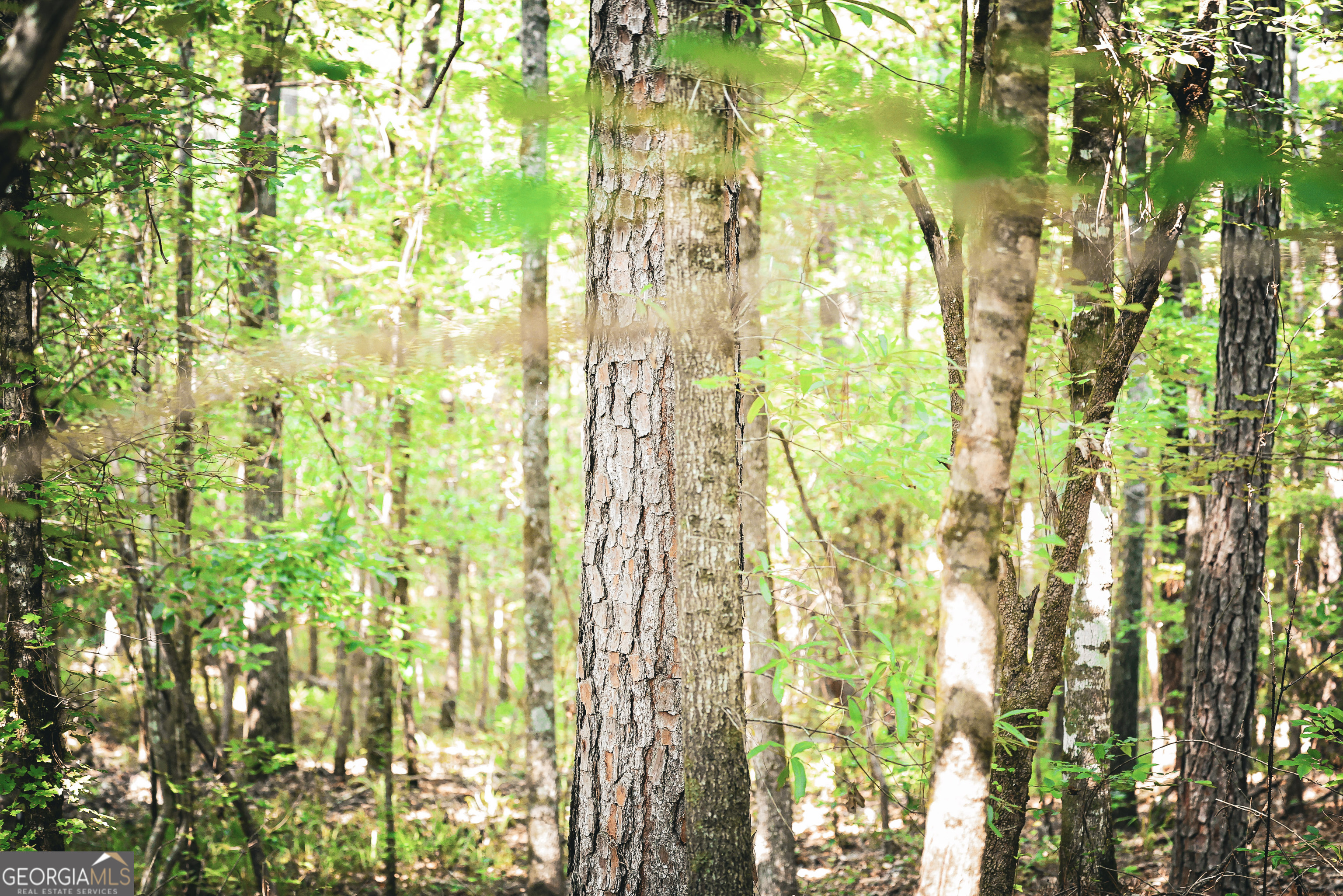 0 County Line Road Talbotton, GA 31827 - Photo 78 of 102