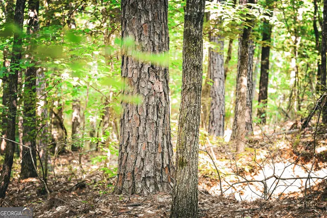 $916,300 | 0 County Line Road, Talbotton, GA 31827