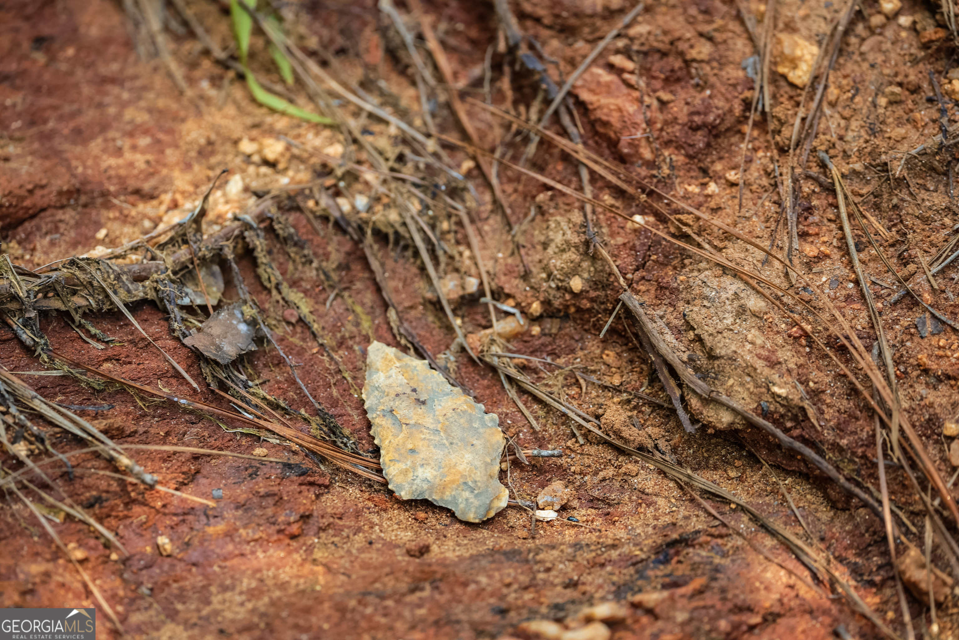 0 County Line Road Talbotton, GA 31827 - Photo 81 of 102