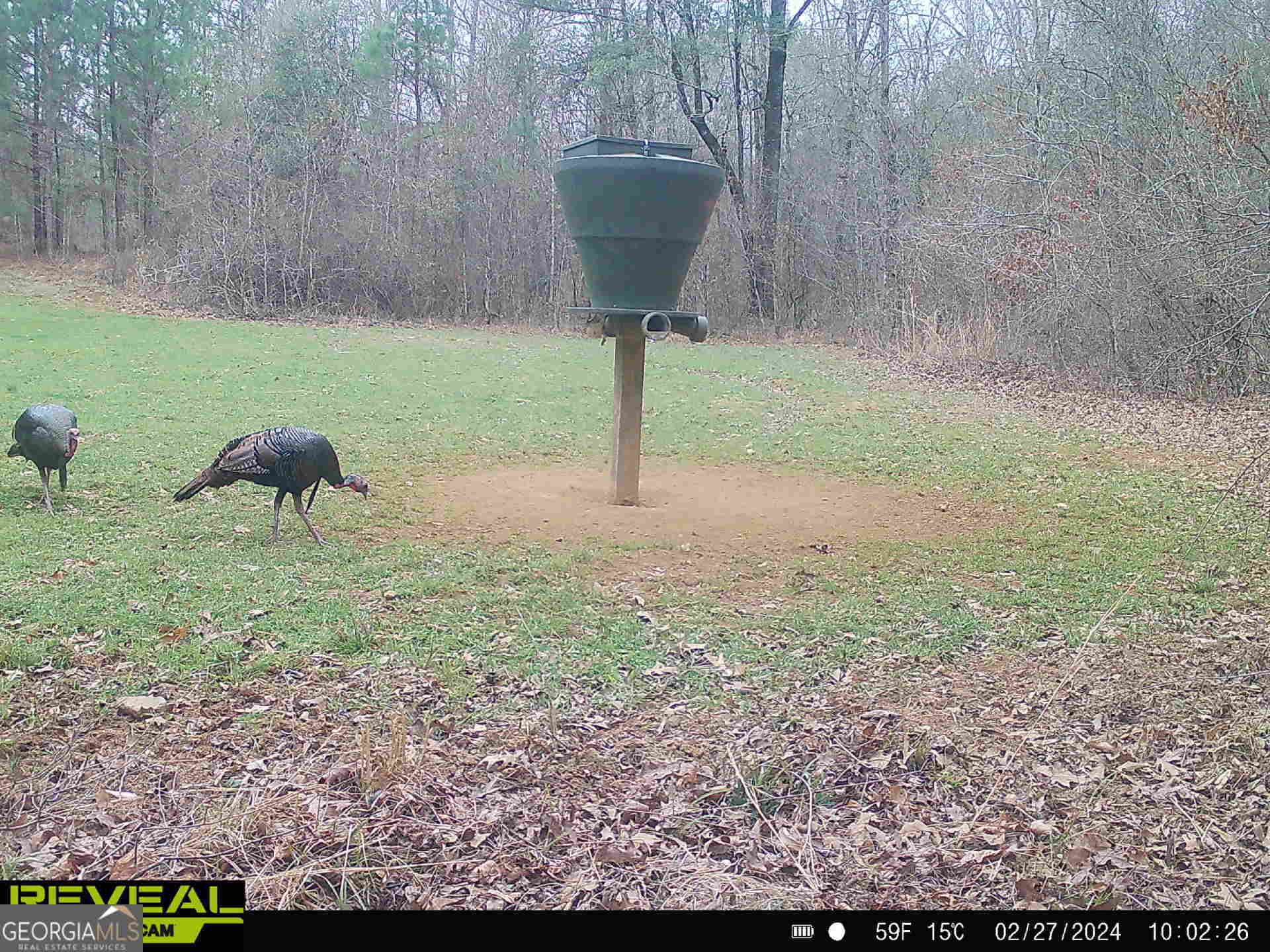 0 County Line Road Talbotton, GA 31827 - Photo 84 of 102