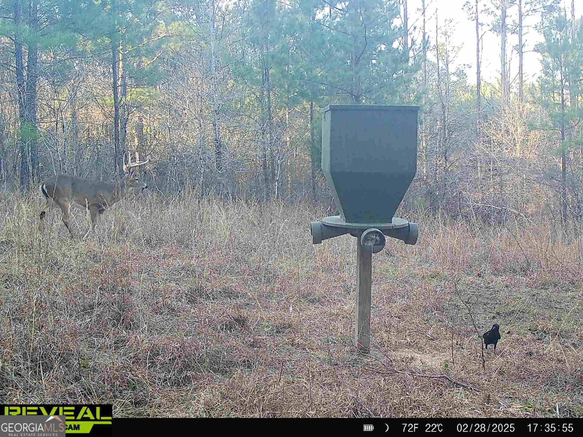 0 County Line Road Talbotton, GA 31827 - Photo 85 of 102