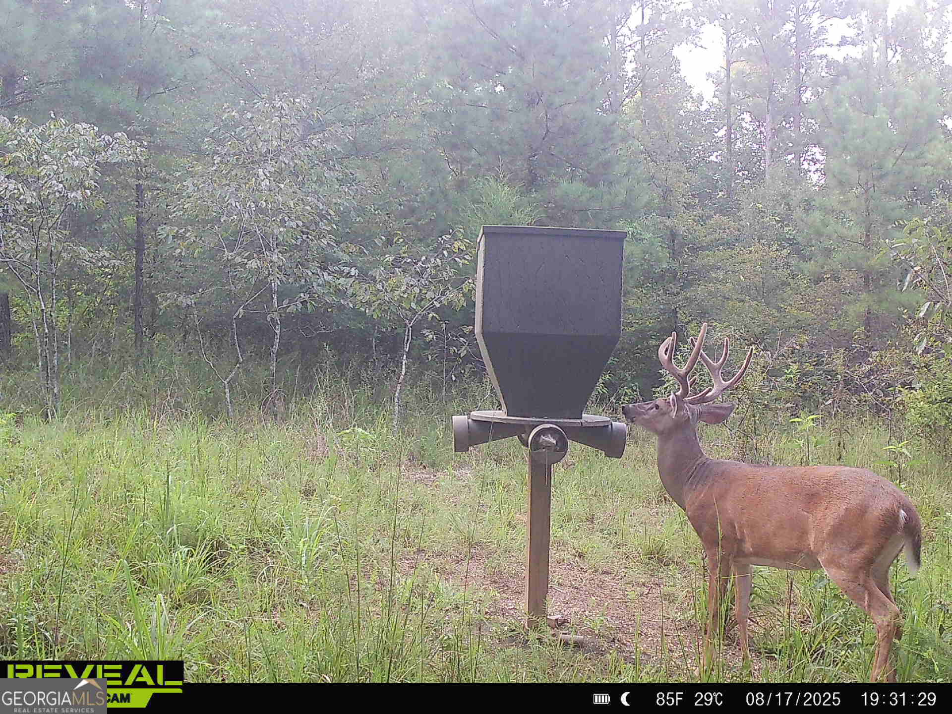 0 County Line Road Talbotton, GA 31827 - Photo 87 of 102