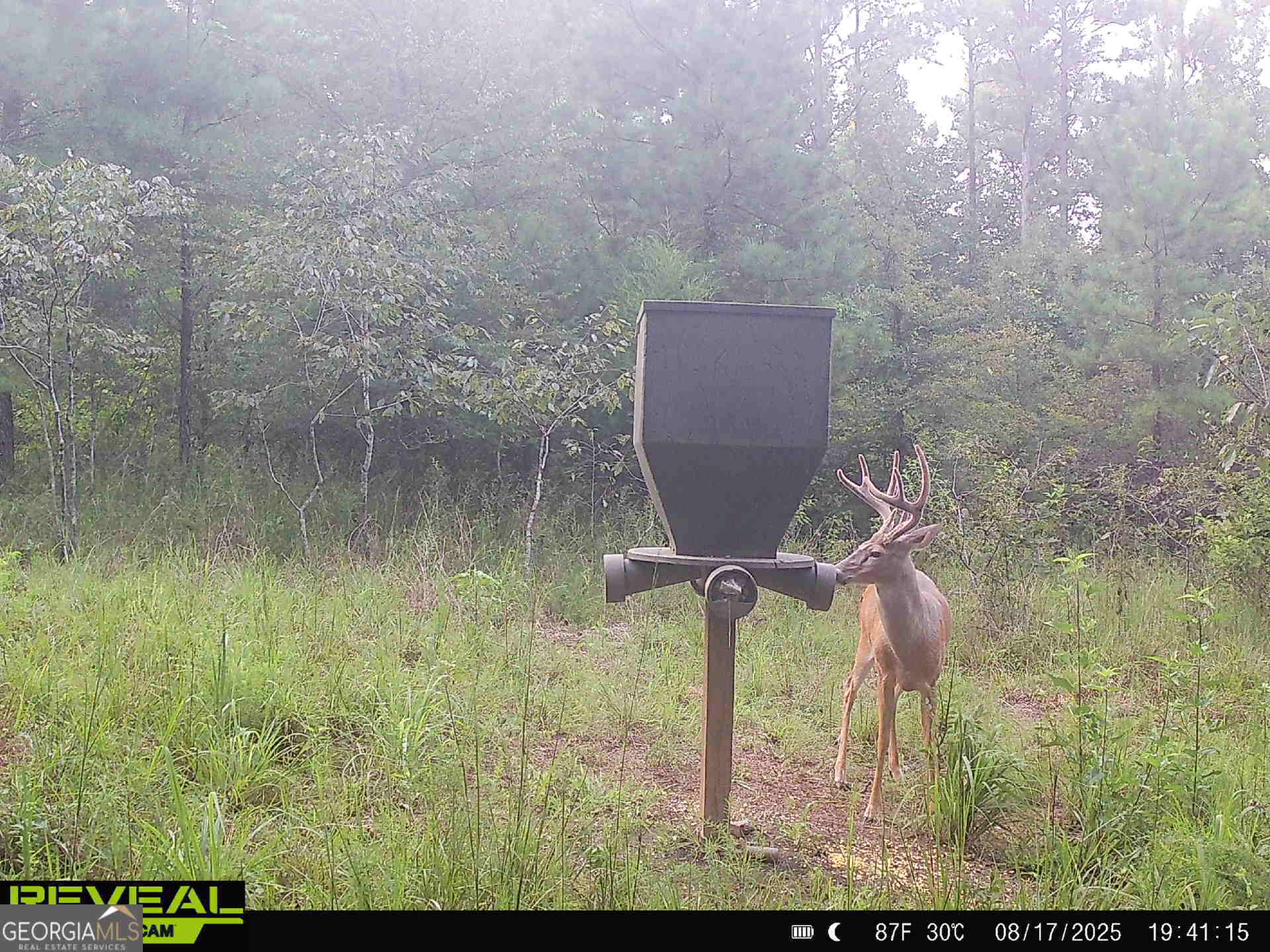 0 County Line Road Talbotton, GA 31827 - Photo 88 of 102