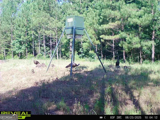 $916,300 | 0 County Line Road, Talbotton, GA 31827