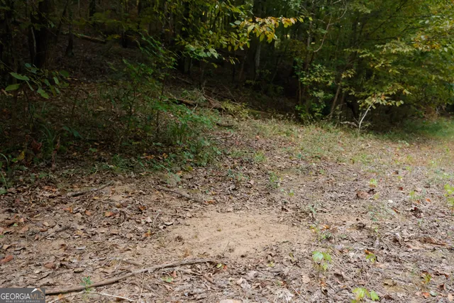 $916,300 | 0 County Line Road, Talbotton, GA 31827