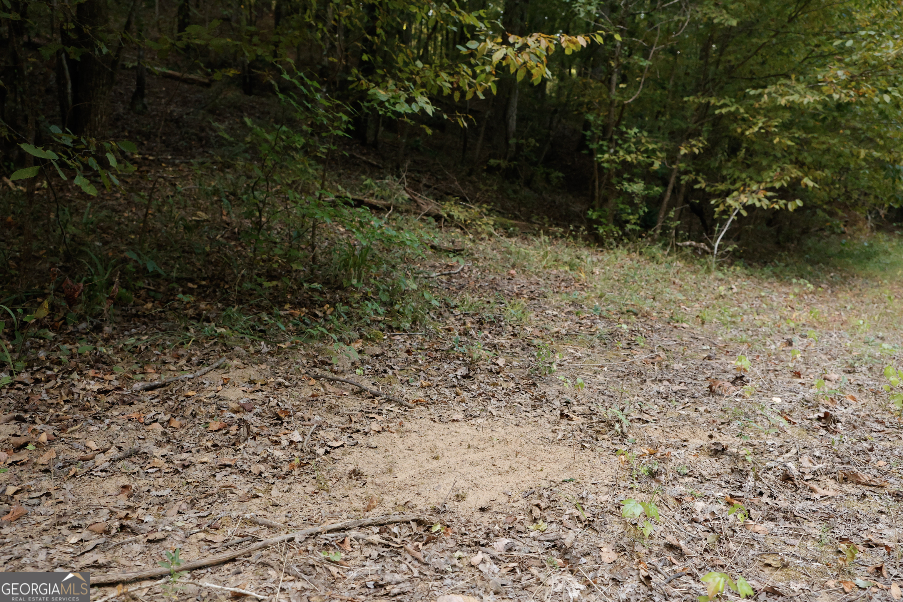 0 County Line Road Talbotton, GA 31827 - Photo 9 of 102