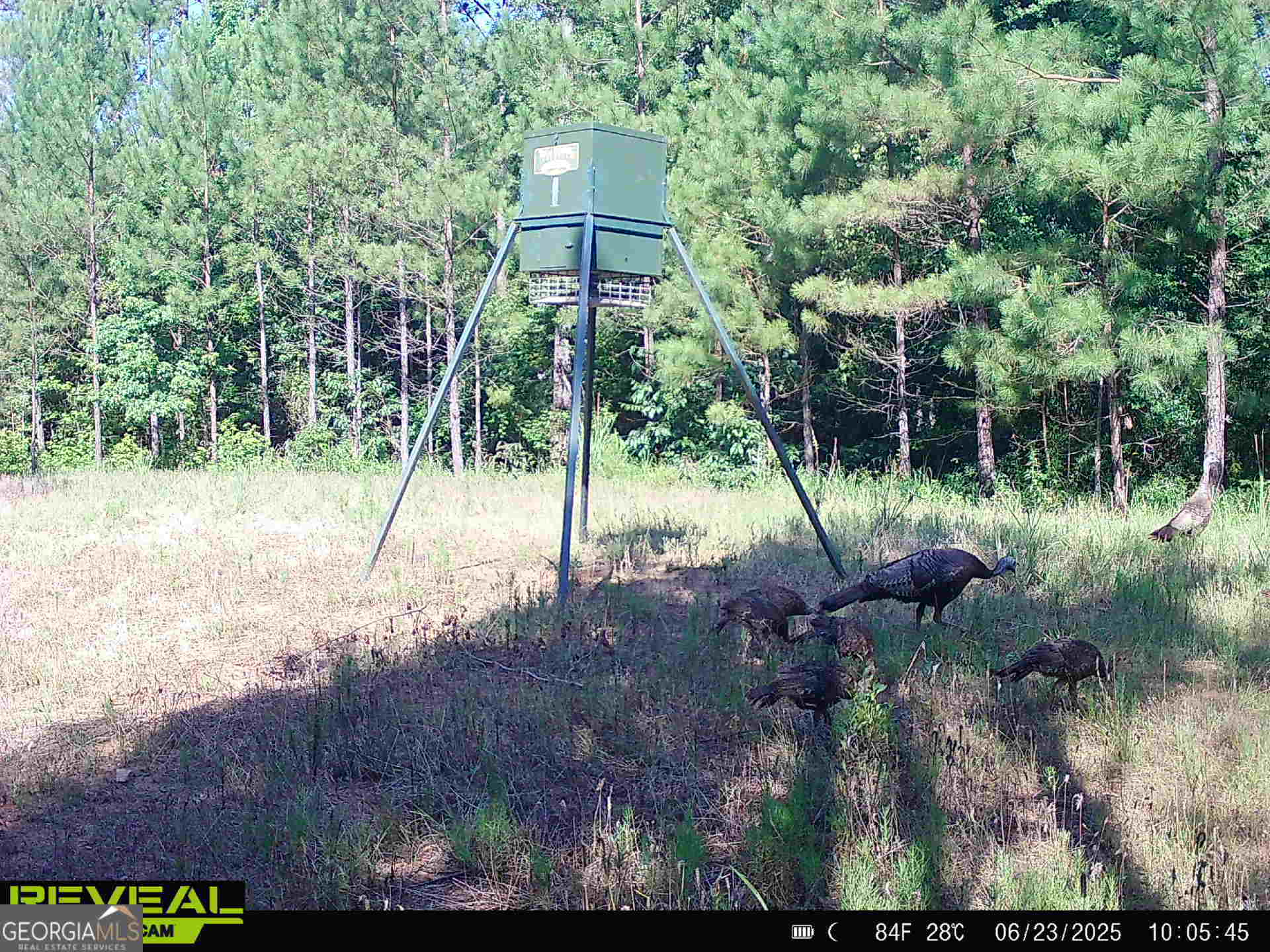 0 County Line Road Talbotton, GA 31827 - Photo 91 of 102