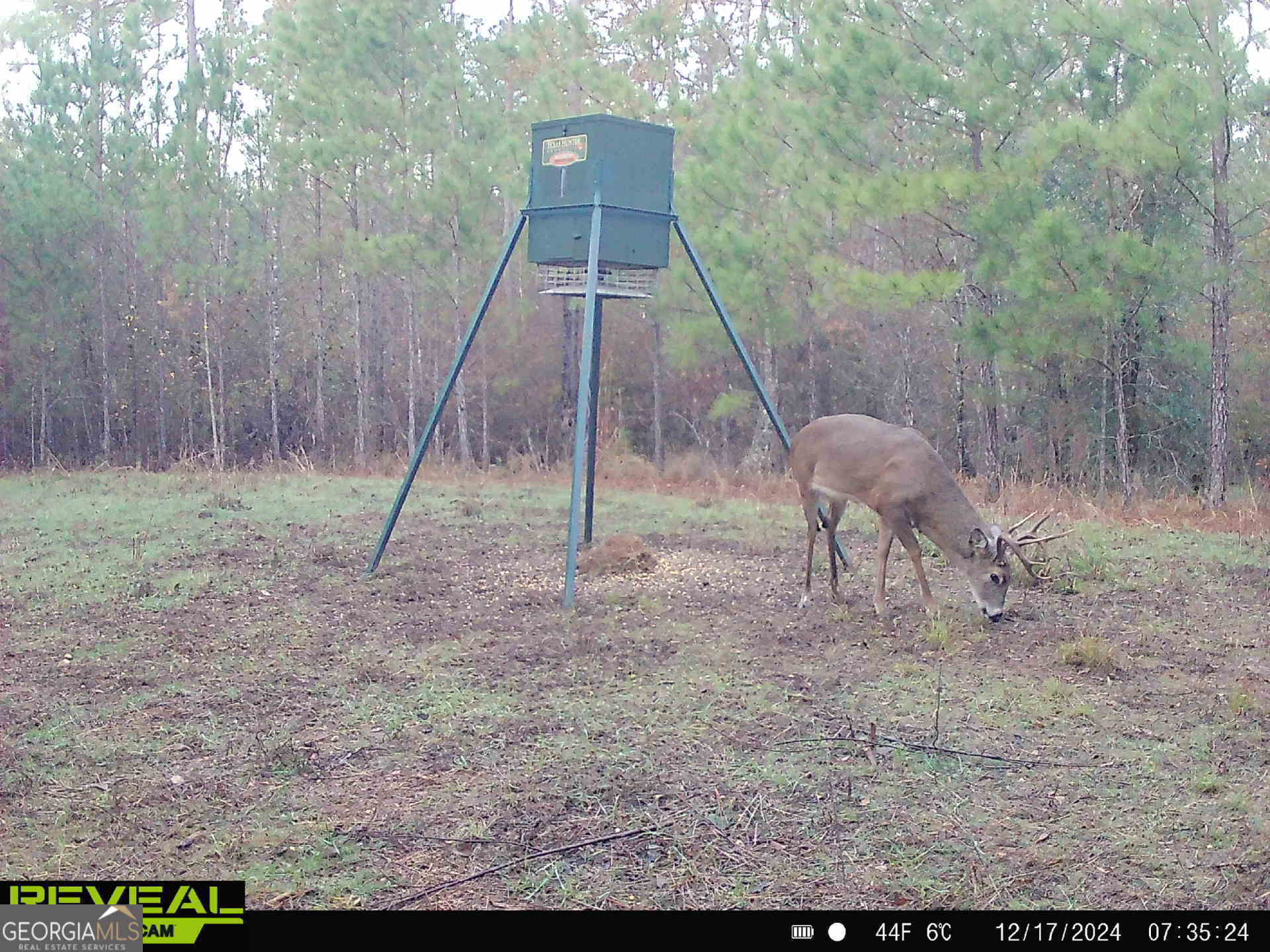 0 County Line Road Talbotton, GA 31827 - Photo 92 of 102