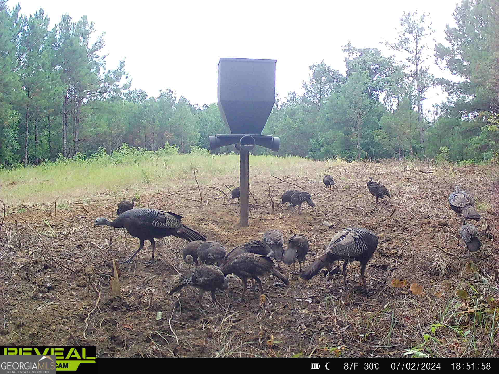 0 County Line Road Talbotton, GA 31827 - Photo 93 of 102