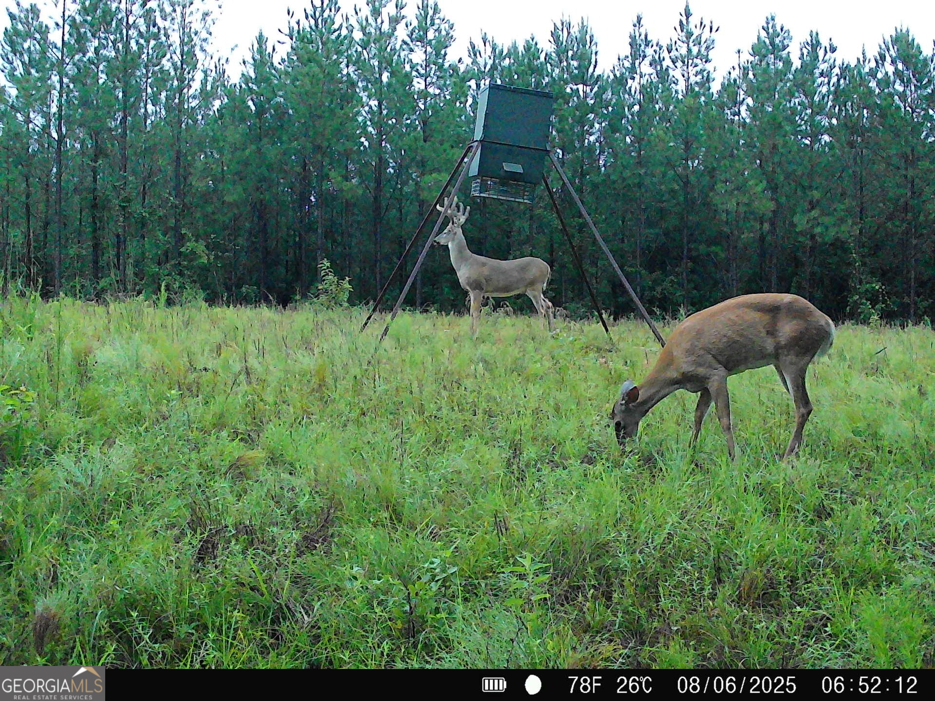 0 County Line Road Talbotton, GA 31827 - Photo 95 of 102