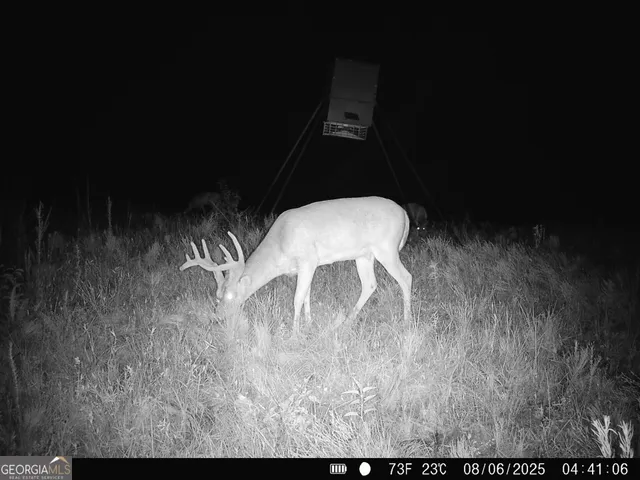 $916,300 | 0 County Line Road, Talbotton, GA 31827