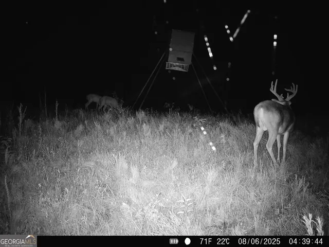 $916,300 | 0 County Line Road, Talbotton, GA 31827