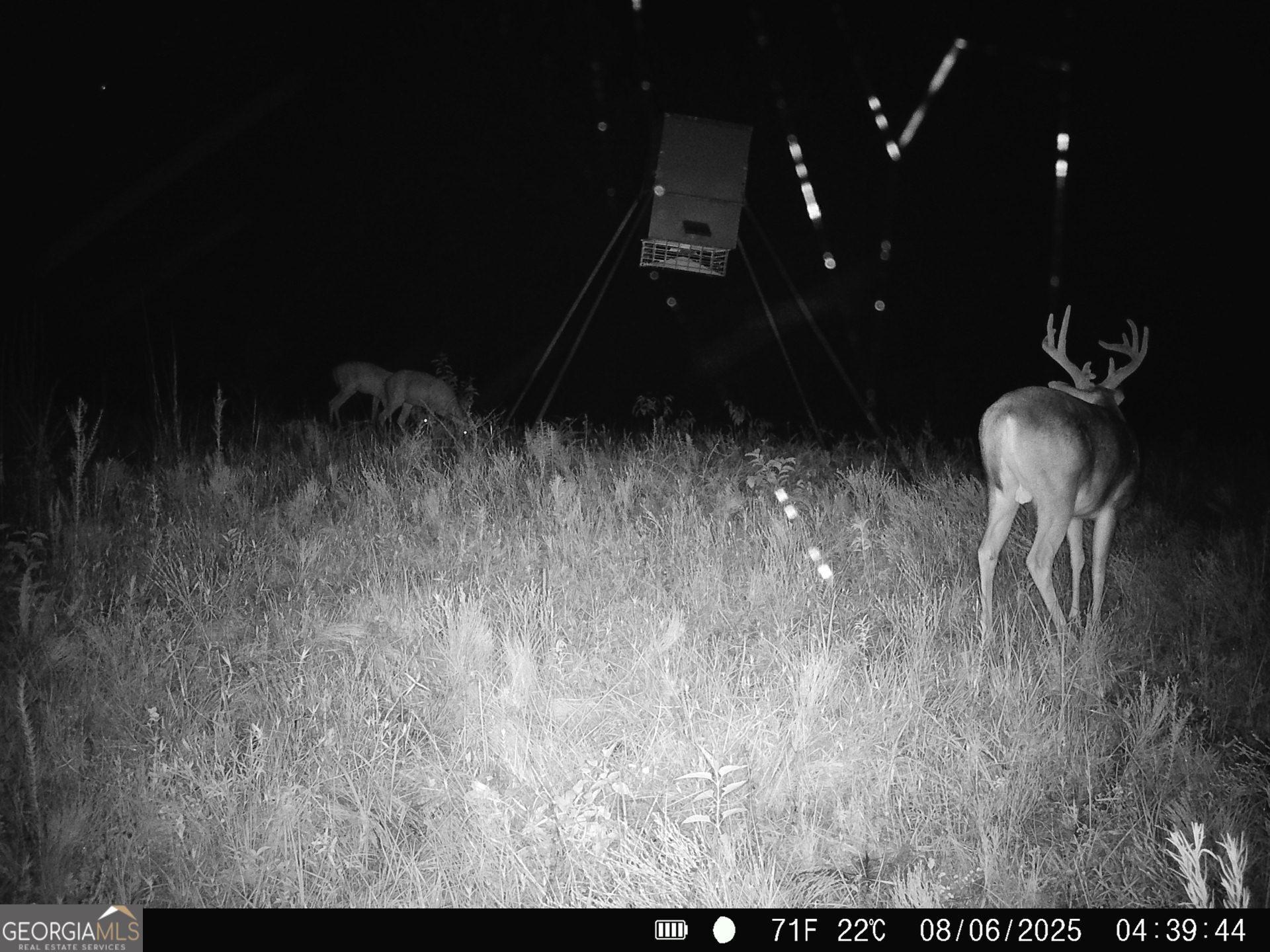 0 County Line Road Talbotton, GA 31827 - Photo 97 of 102