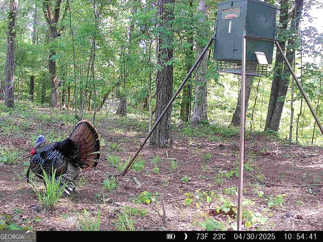 $916,300 | 0 County Line Road, Talbotton, GA 31827