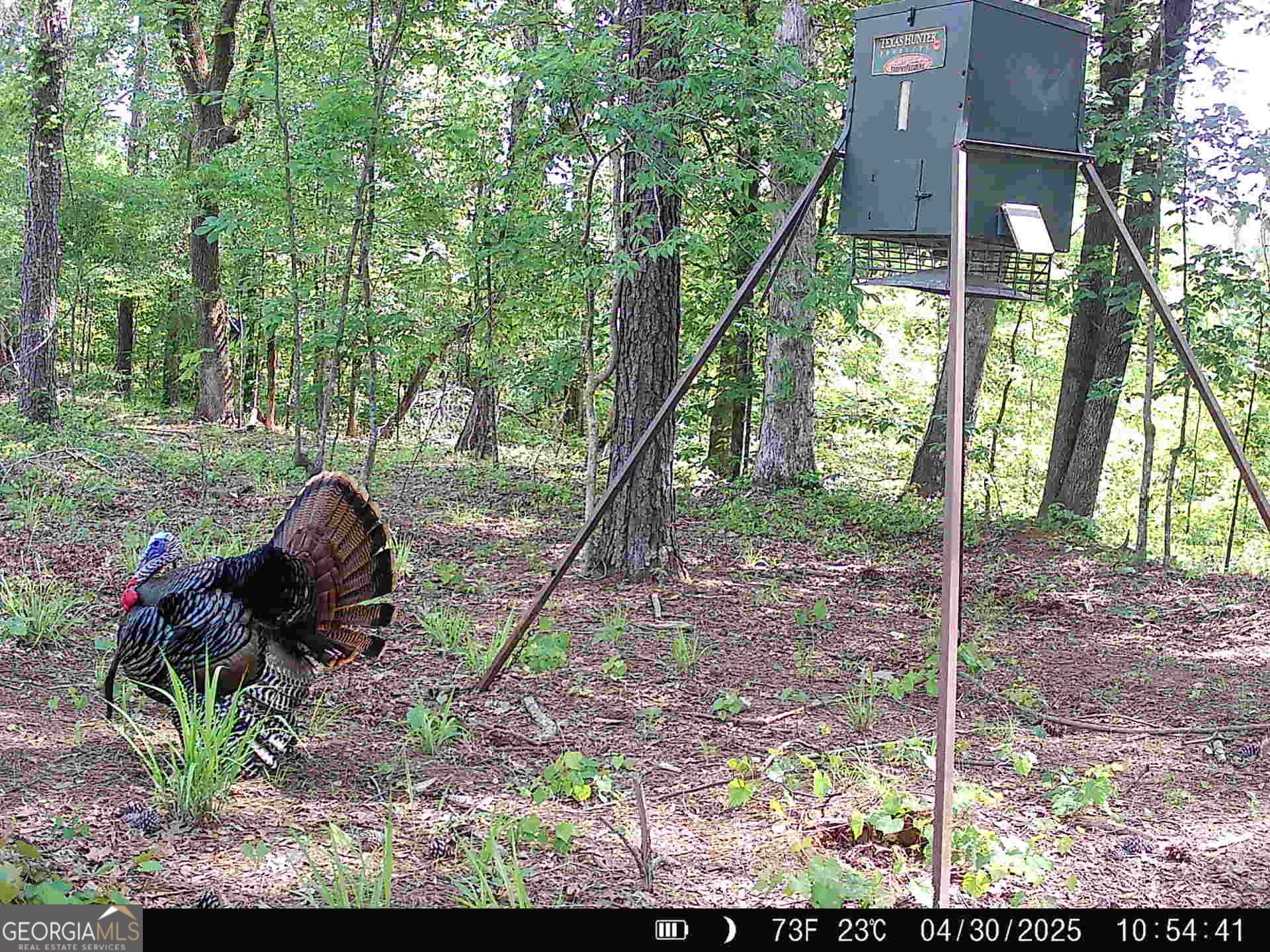 0 County Line Road Talbotton, GA 31827 - Photo 98 of 102