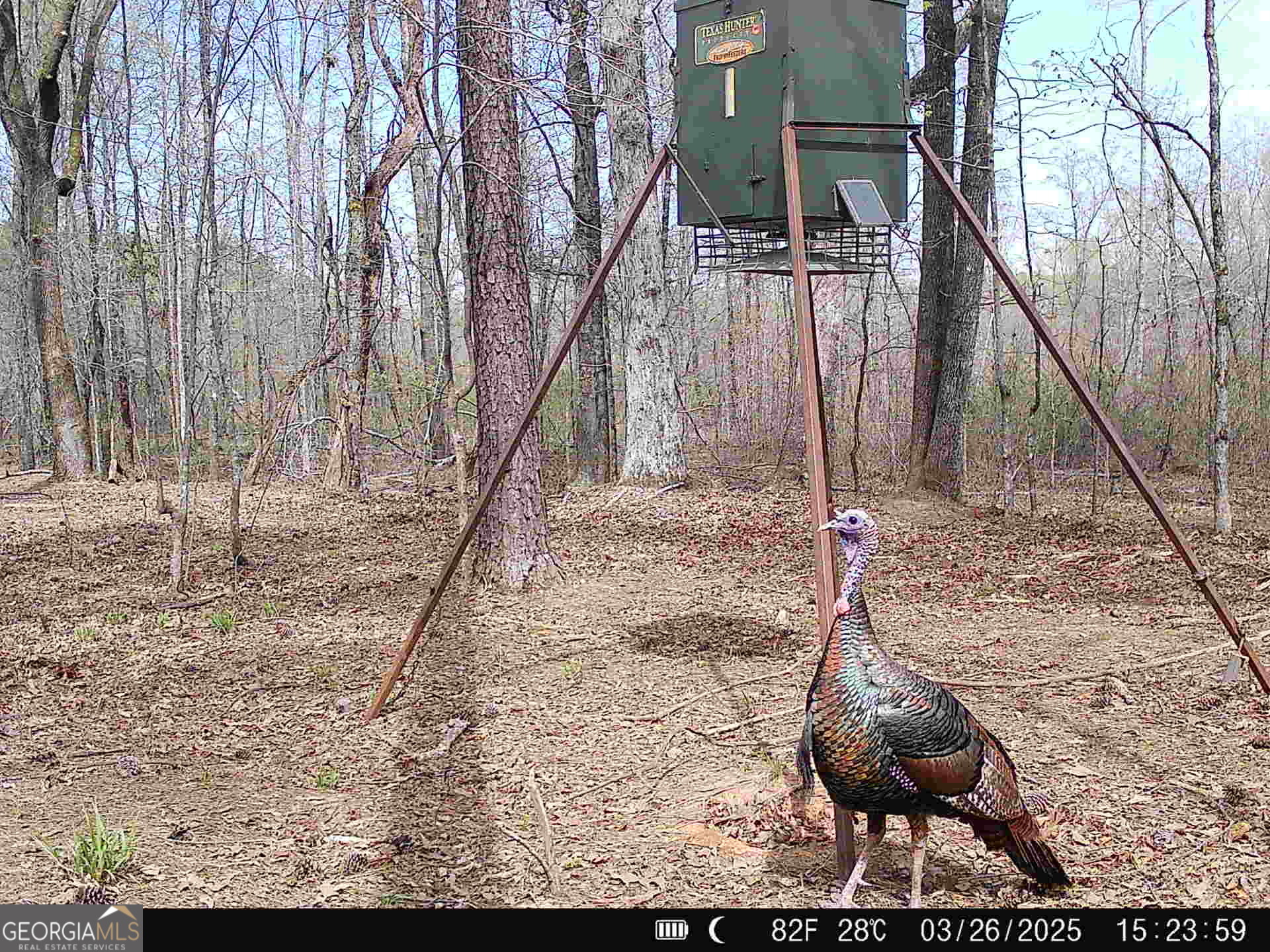 0 County Line Road Talbotton, GA 31827 - Photo 99 of 102
