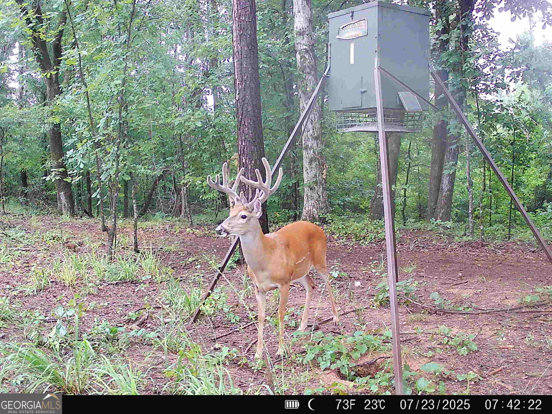 0 County Line Road Talbotton, GA 31827 - Photo 100 of 102