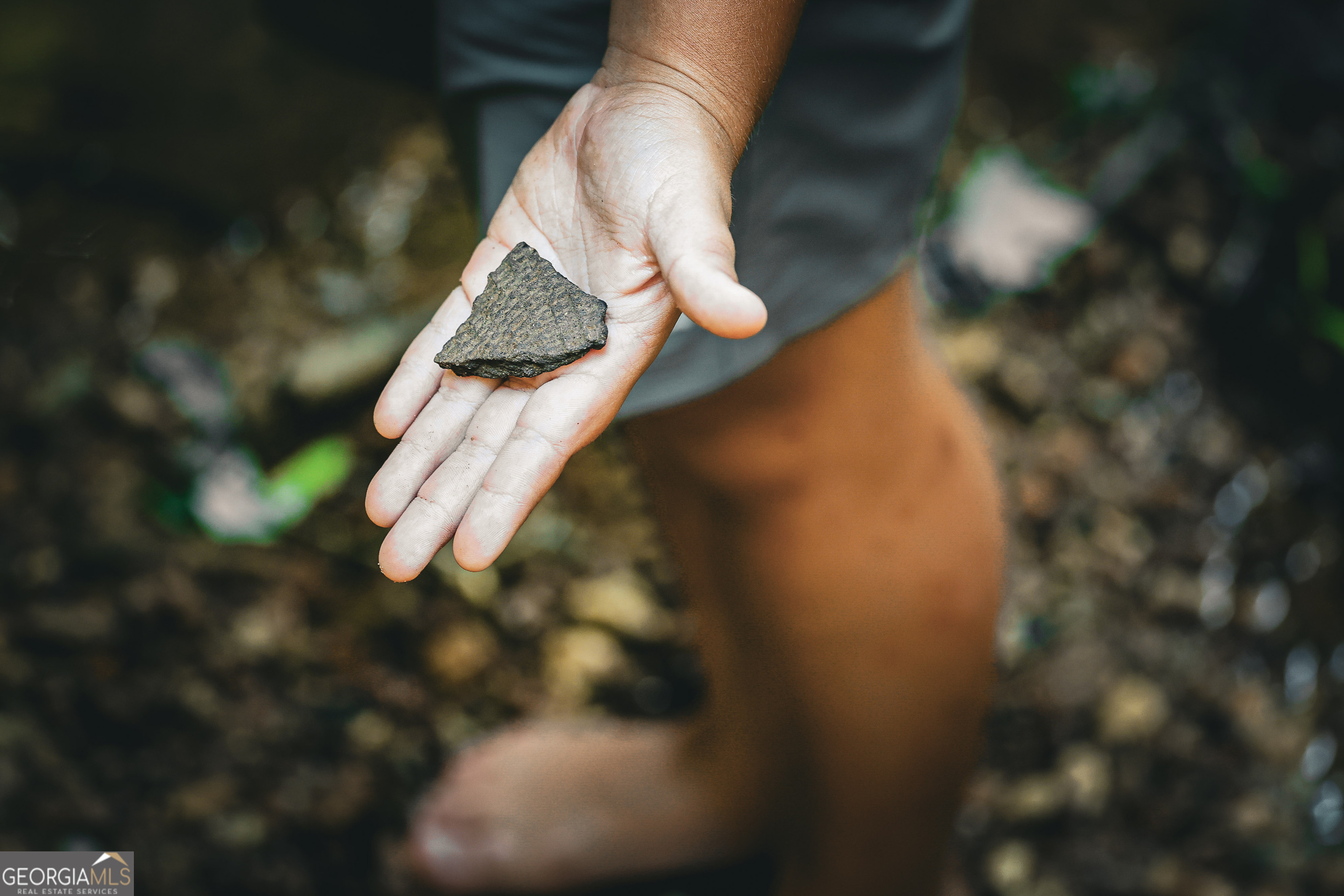 0 County Line Road Talbotton, GA 31827 - Photo 10 of 102