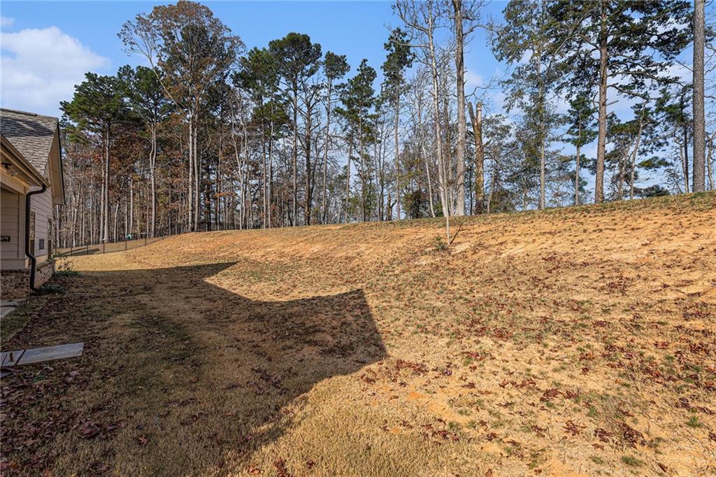 1119 Heights View Way Monroe, GA 30655 - Photo 28 of 30 a view of a yard with trees