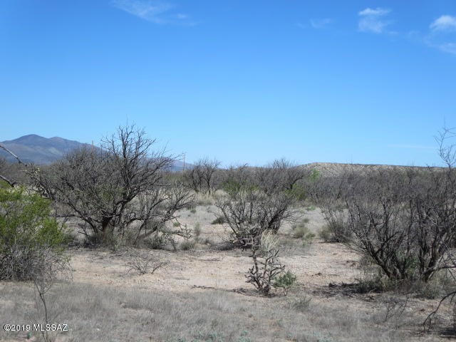 9.27-ac North Cascabel Road, Unit 2 Benson, AZ 85602 - Photo 10 of 13