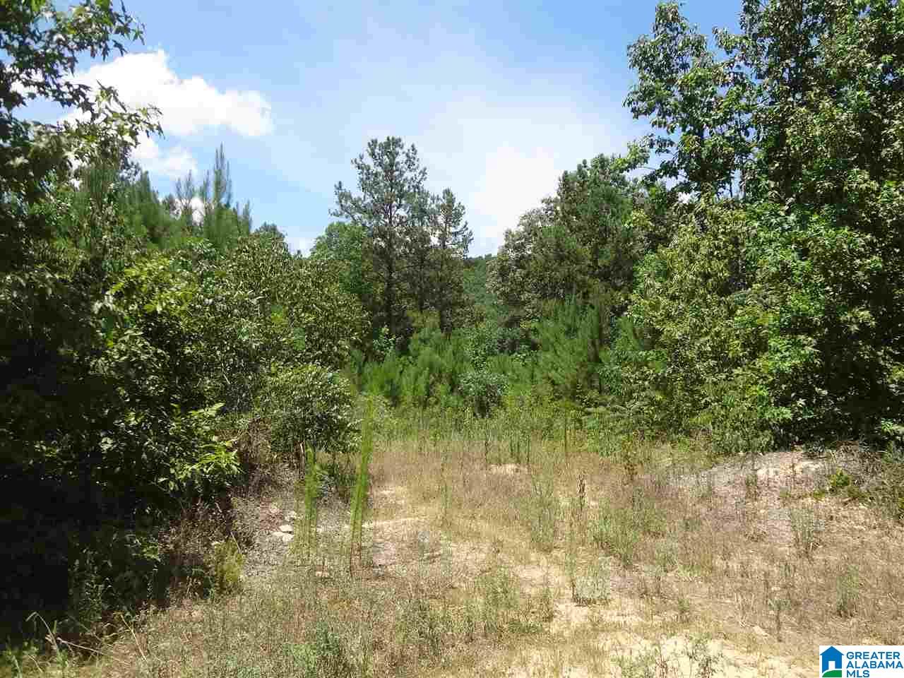 35-acres Baker Road Odenville, AL 35120 - Photo 1 of 1 Gallery Image 1