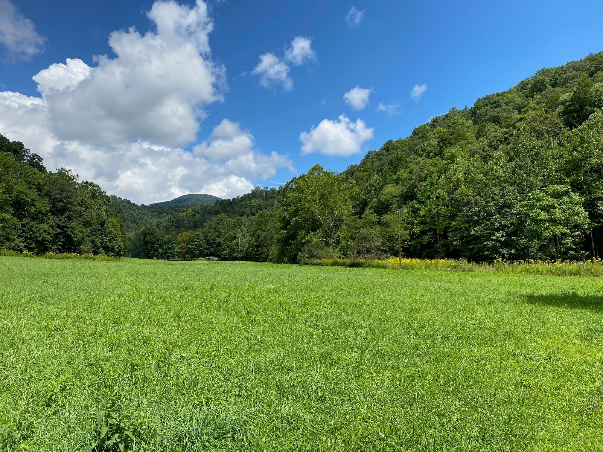 2628 Robins Fork Road Renick, WV 24966 - Photo 50 of 51 Gallery Image 50