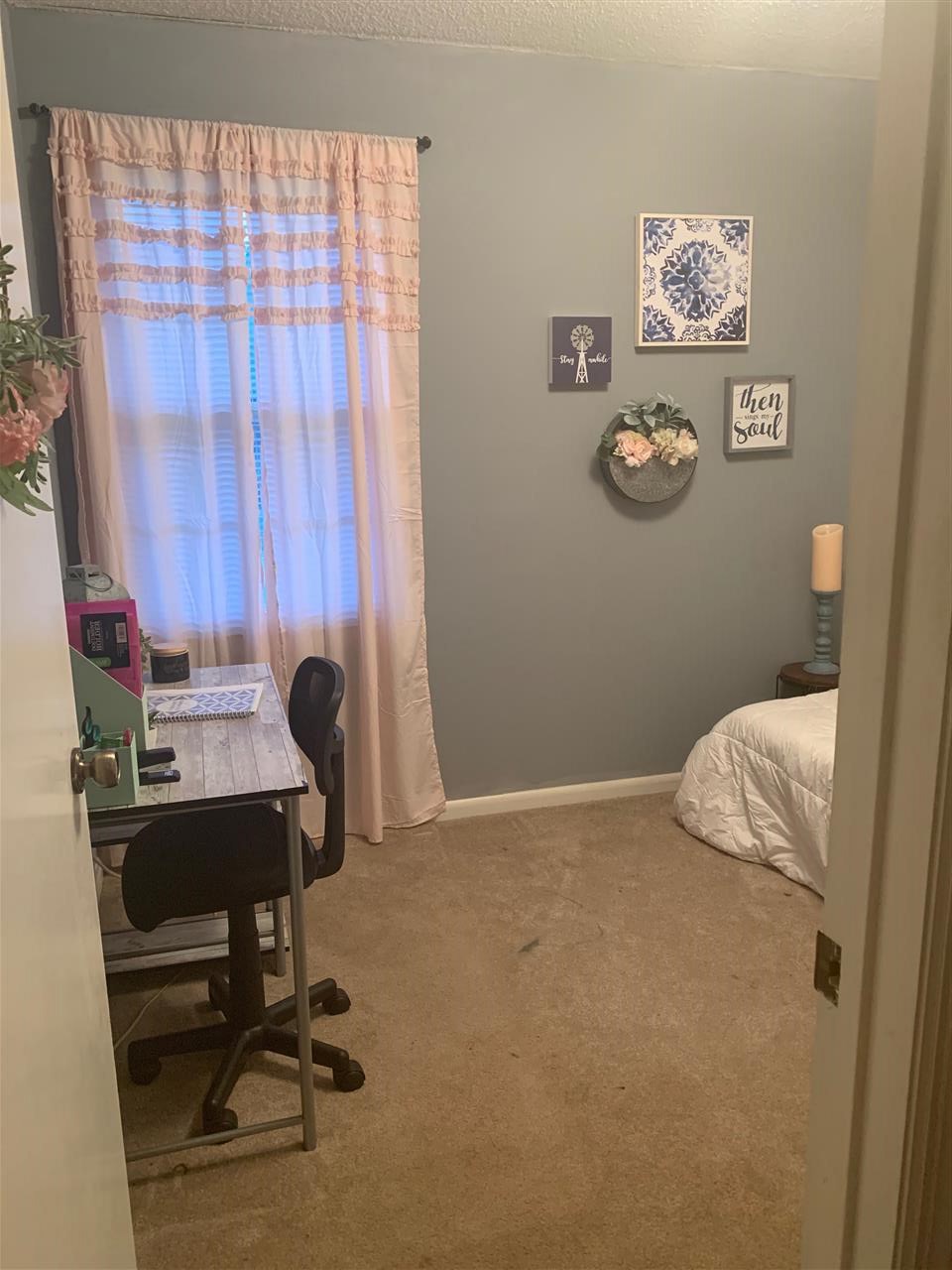 909 Winterhawk Circle Inman, SC 29349 - Photo 24 of 29