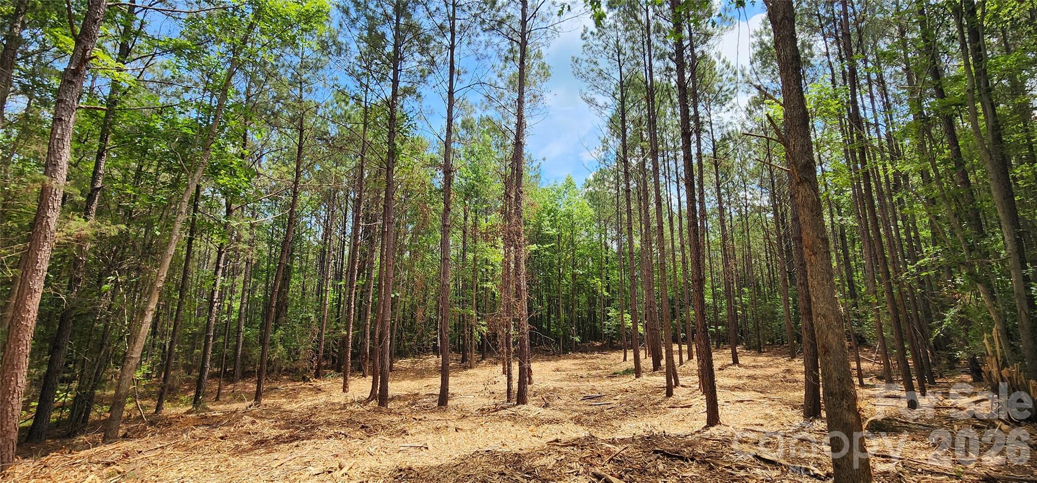 4870 Old Airport Road Winnsboro, SC 29180 - Photo 15 of 38
