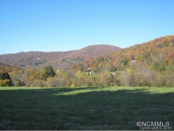 Lot 1-b) Lot 1-b) Rice Branch Road Asheville, NC 28804 - Photo 2 of 15 Gallery Image 2